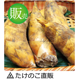 合馬たけのこ販売