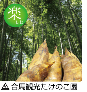 合馬観光たけのこ園